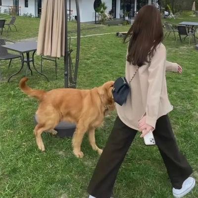 后羿之逐日之战